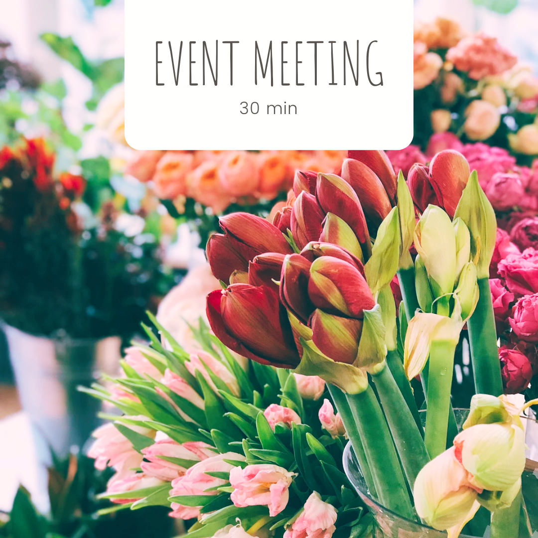 30 min General Consultation